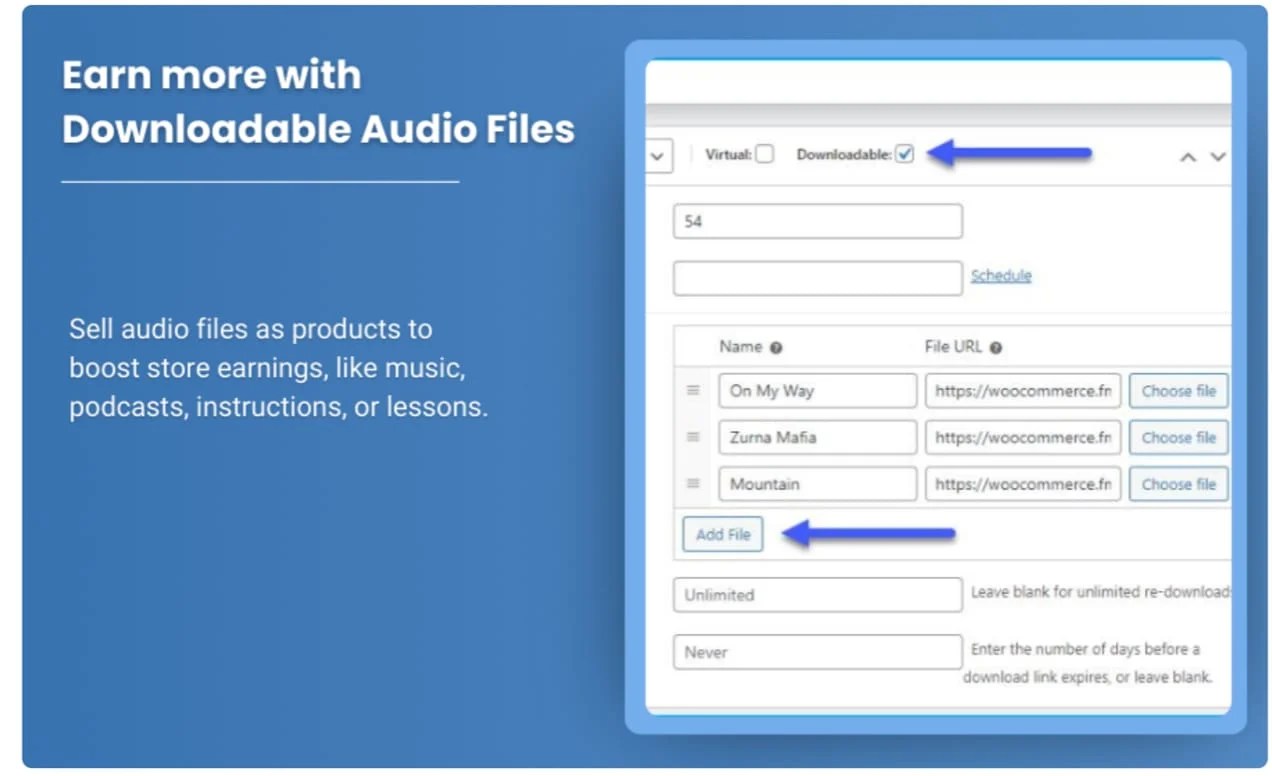 Informational webpage section with information on downloadable audio files as paid product.